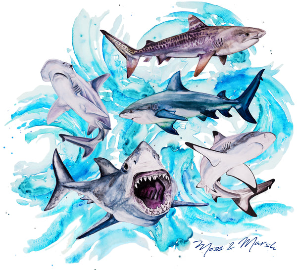 Sharks UV Shirt - Kids